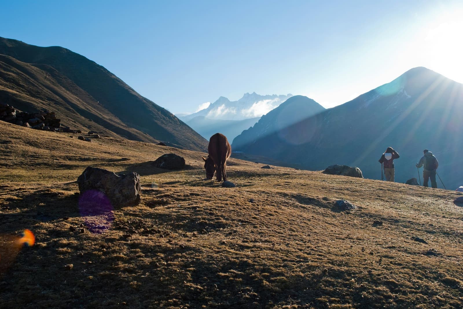 The cow has no interest in the view. The hikers can't look away. Two trekkers with hiking poles pause on a high Andean grassland plateau during a luxury Machu Picchu tour, while a brown bovine grazes in the foreground and snow-capped peaks rise through clouds in the valley below