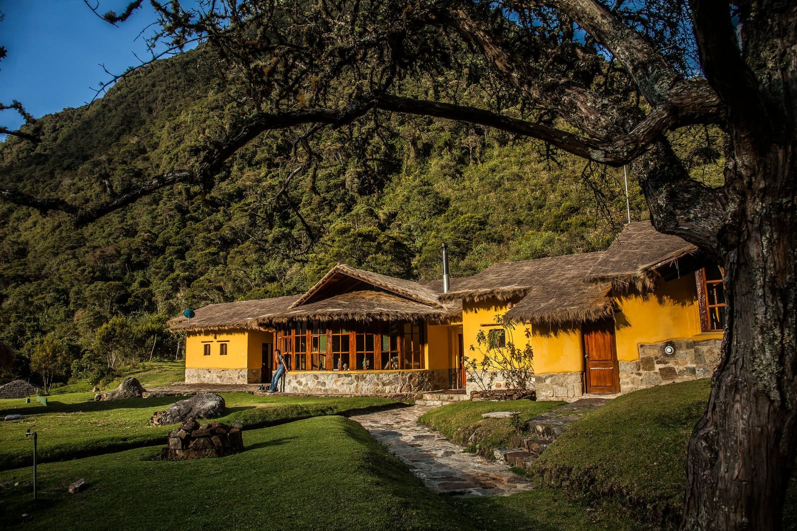 Your home at 3,869 m: warm beds, hot showers, and a glacier out the window. Yellow-walled mountain lodge with thatched roofs and wooden windows set against a steep forested hillside on the salkantay tour, framed by a gnarled tree and a stone footpath leading to the entrance