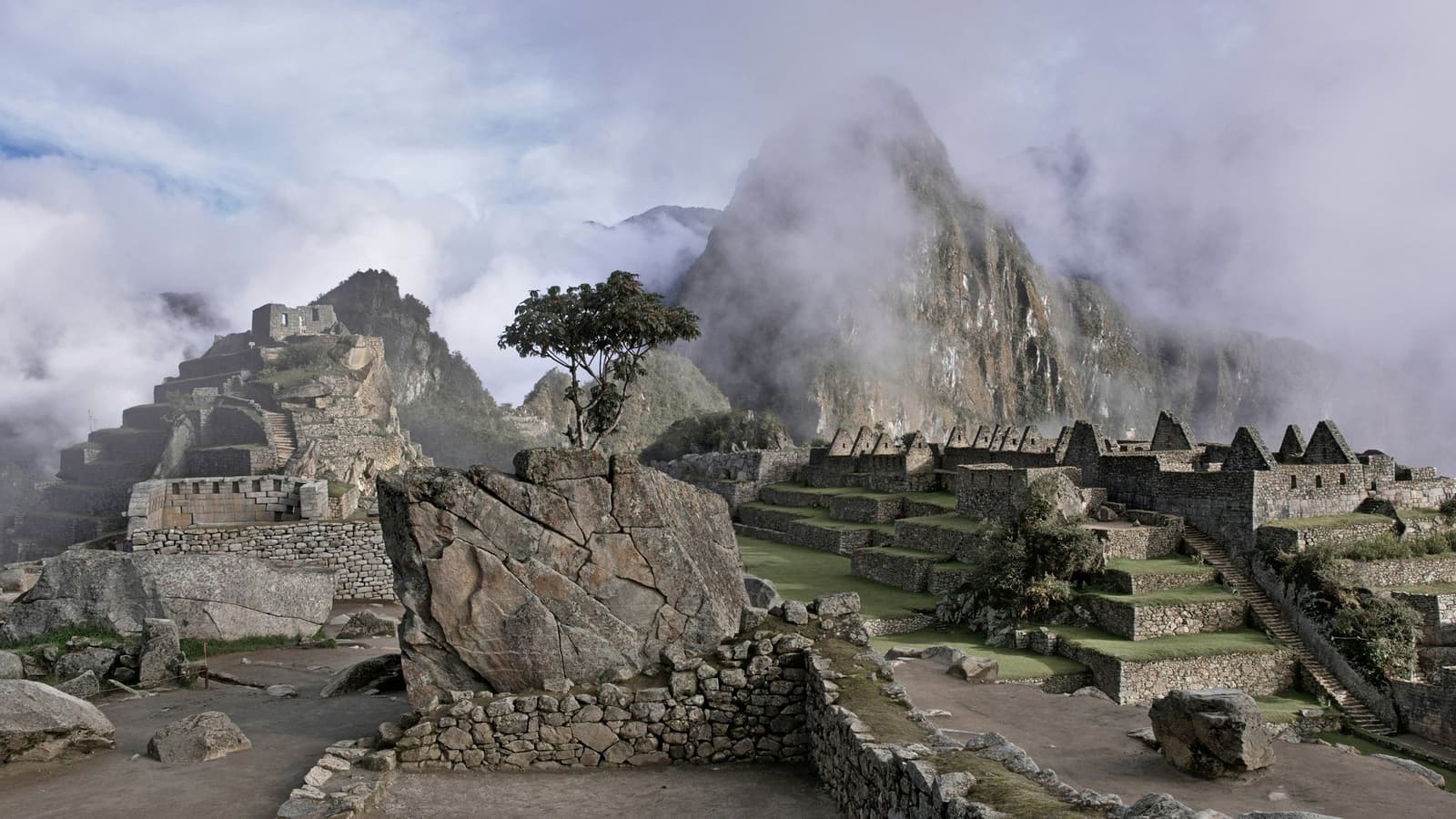 Morning cloud rolls in and makes the whole citadel feel like a secret worth keeping. Inca stone terraces and roofless structures of Machu Picchu on the luxury Salkantay trek, with a lone tree growing from a granite outcrop and Huayna Picchu peak wrapped in low cloud