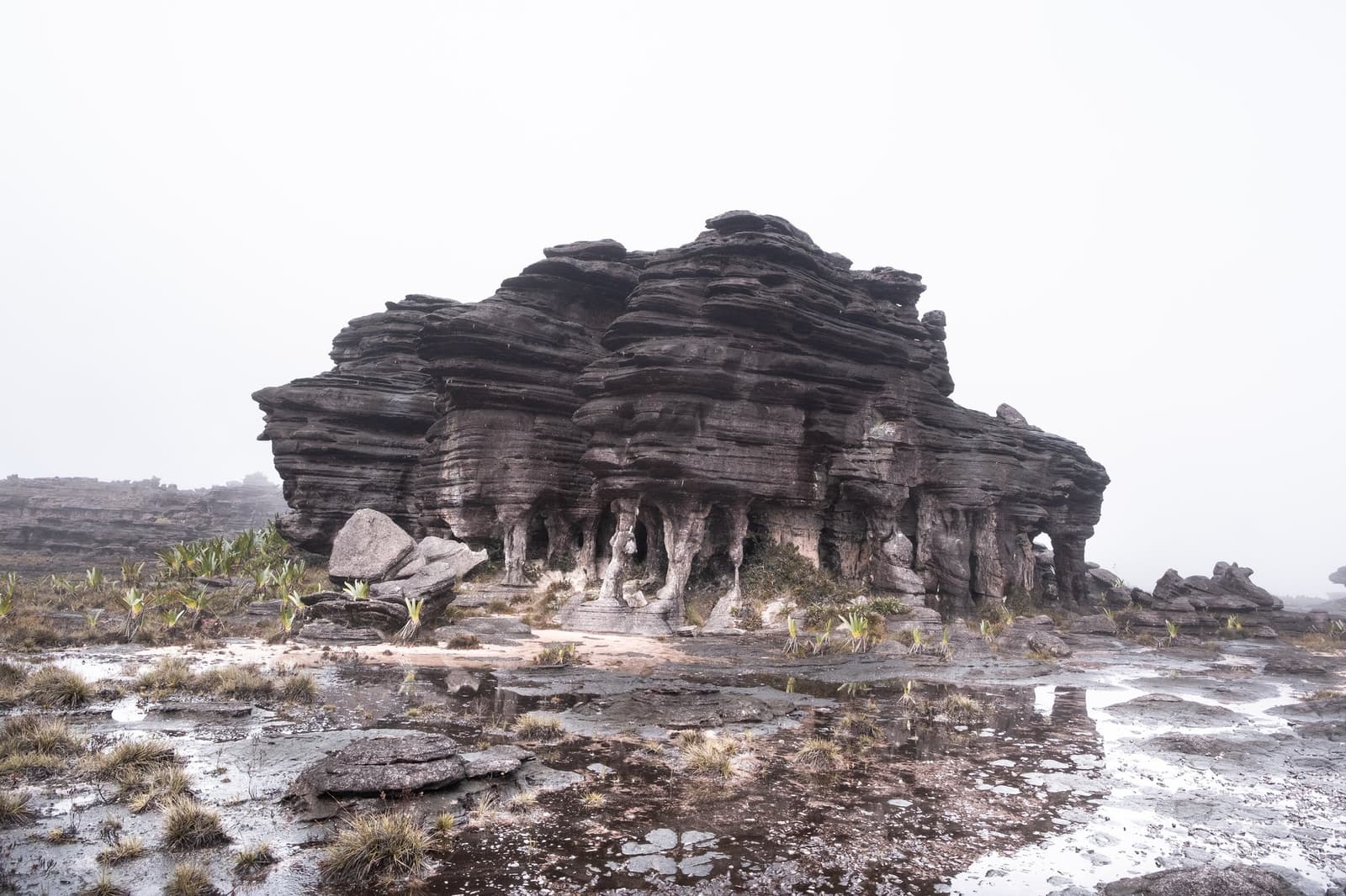 Dois bilhões de anos de geologia, e a névoa ainda insiste em dar seu recado. Uma enorme formação de arenito em camadas emerge do platô encharcado do tepui durante uma expedição ao Monte Roraima, envolta em névoa, poças d'água e plantas endêmicas esparsas crescendo sobre a rocha ancestral