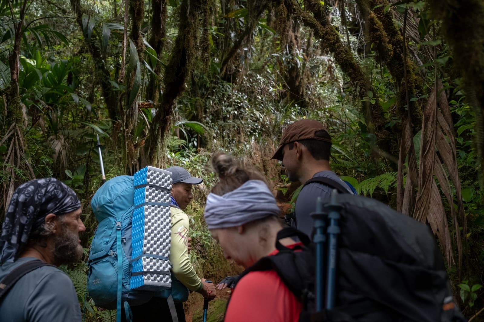 No meio da trilha, no meio de um pensamento, a floresta sempre escolhe o melhor momento para te fazer parar. Um grupo de quatro caminhantes com mochilas carregadas e bastões de trekking faz uma pausa em uma trilha estreita durante uma expedição ao Monte Roraima, cercados por árvores cobertas de musgo e vegetação densa de floresta nebular