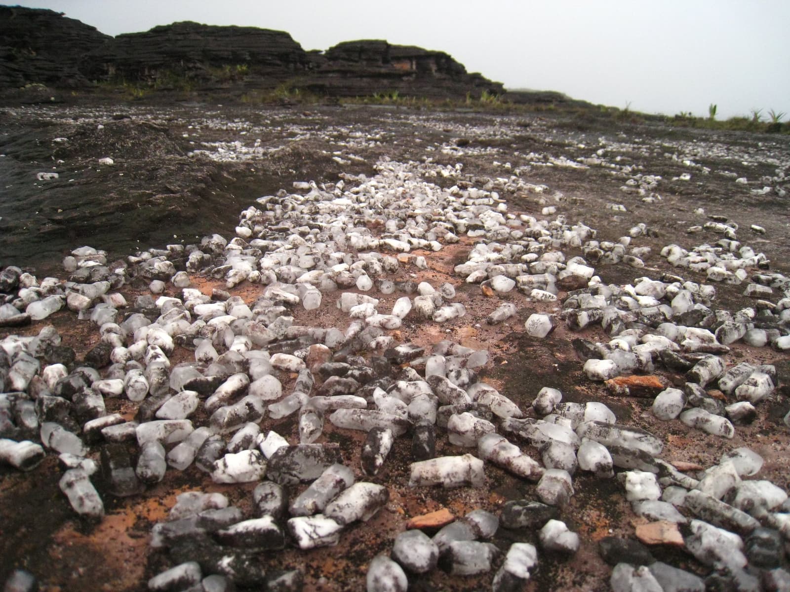 O Vale dos Cristais não decepciona, chegue na altura certa e o chão brilha. Centenas de cristais de quartzo branco espalhados pela superfície escura e rochosa do platô do Monte Roraima, com formações de rocha negra em camadas e vegetação esparsa ao fundo nebuloso