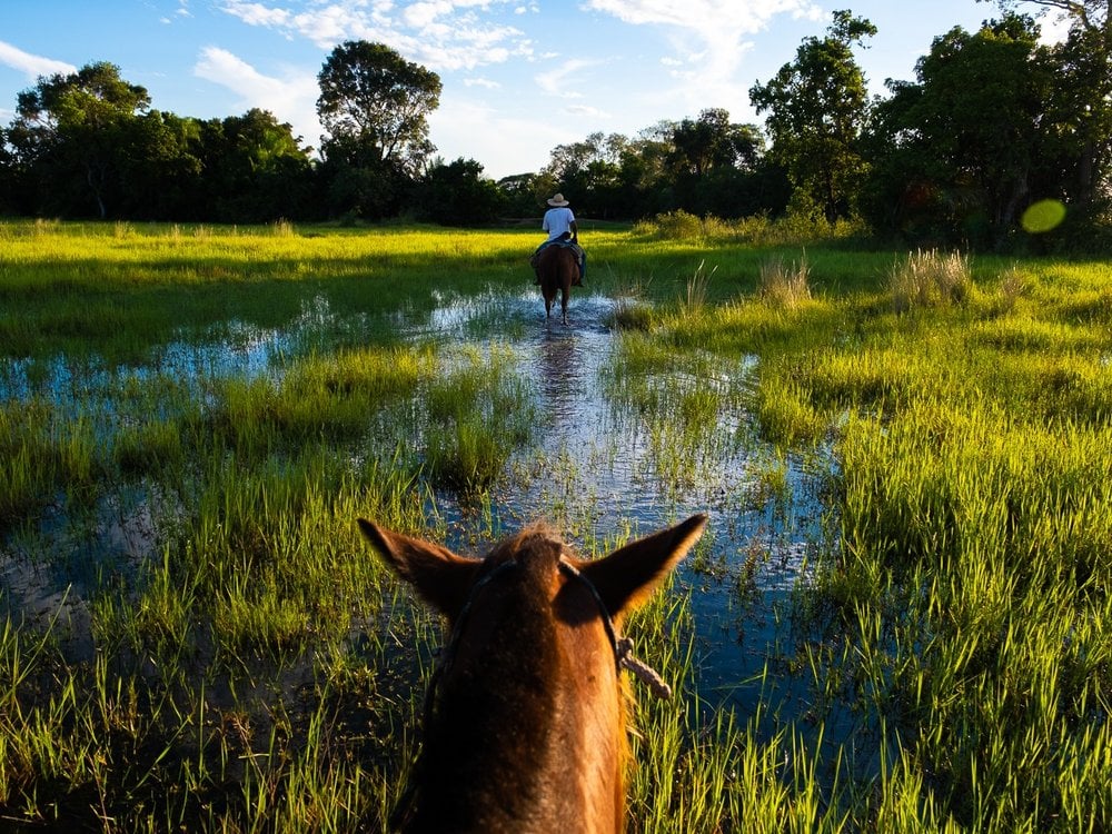 Photo: Pousada Aguapé View from the saddle as the horses cross flooded grassland