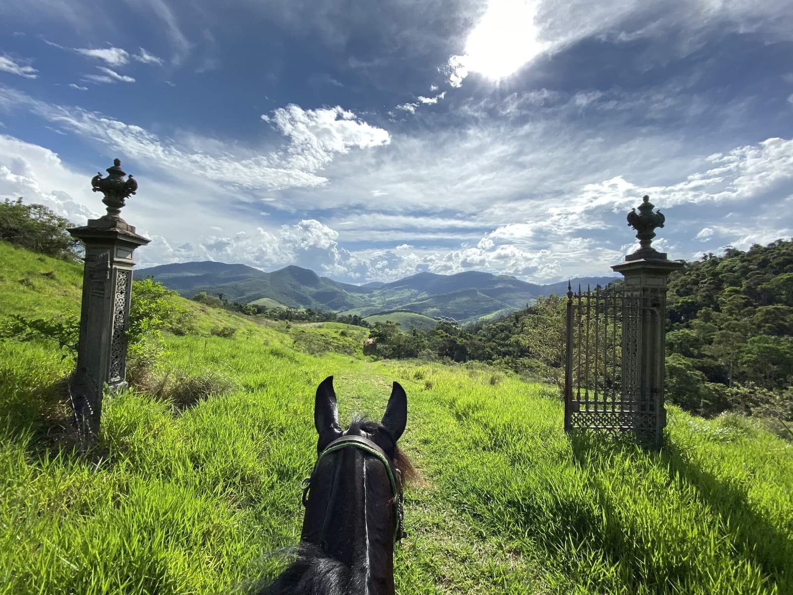 La meilleure fenêtre du domaine n'a pas de vitres. Vue depuis le dos d'un cheval à travers les piliers d'un portail en fer forgé sur des collines verdoyantes et des montagnes lointaines à l'Ibiti Project au Minas Gerais