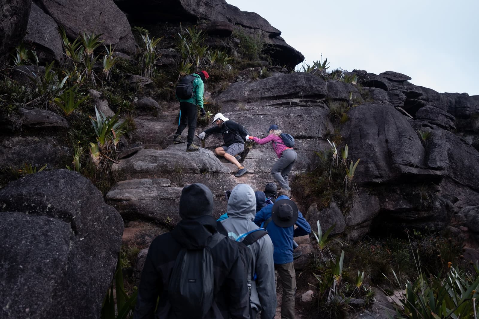 O granito não negocia, mas a equipe sempre dá um jeito. Um grupo de trekkers em uma expedição ao Monte Roraima escala uma íngreme parede de granito em camadas cercada por bromélias, com um caminhante ajudando outro a superar um passo difícil