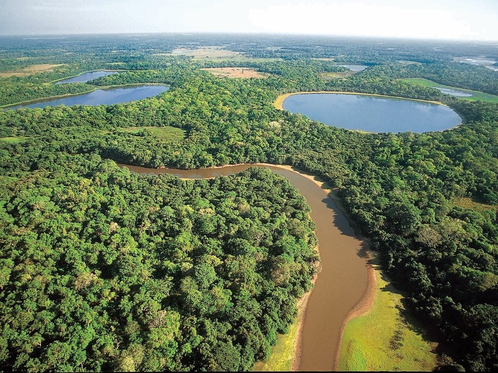 Photo: Rico Aerial view of the Pantanal wetland and its rivers