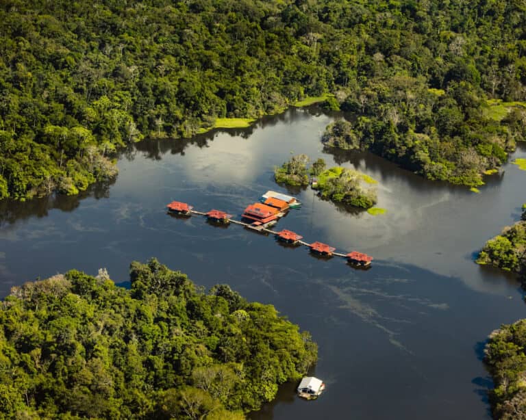 Luftaufnahme der Uakari Floating Lodge mit ihren rot gedeckten Hütten entlang eines Stegs auf dem See im Mamirauá-Reservat