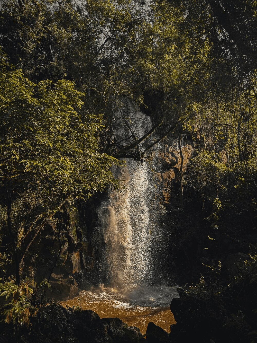 Photo: Ignacio Saenz Valiente Waterfall half hidden by trees along a forest trail near Iguazu Falls