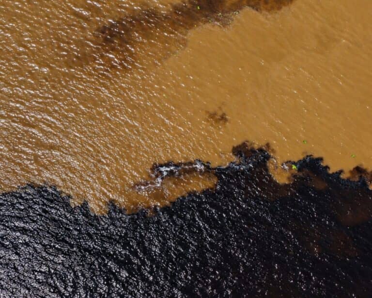 Luftaufnahme des Encontro das Águas bei Manaus, wo der dunkle Rio Negro auf den sandbraunen Rio Solimões trifft
