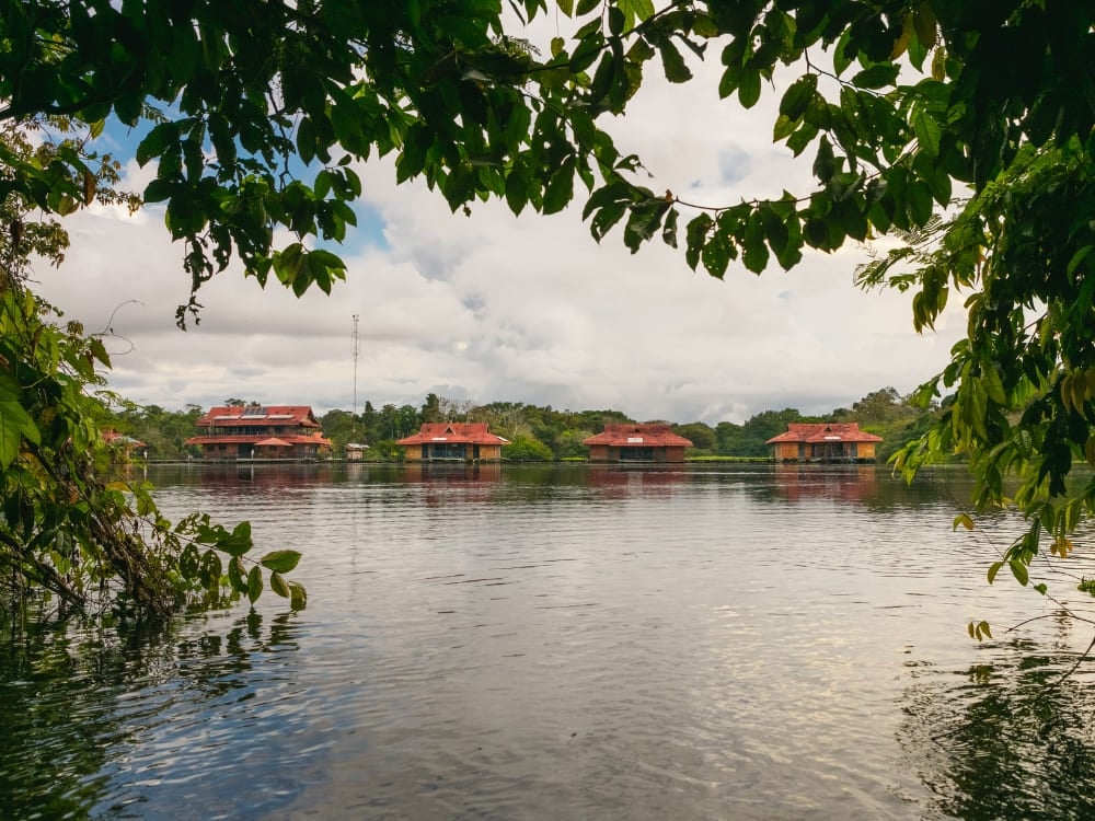 Photo: Gui Gomes Red-roofed floating bungalows of Uakari Floating Lodge seen across the water through overhanging branches
