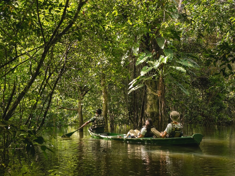 Photo: Gui Gomes Guide paddling a canoe with two travelers through the flooded forest of the Amazon