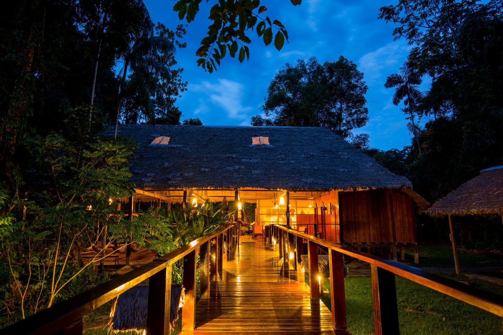 The jungle does not go quiet at night, and neither does the welcome light at the end of that boardwalk. Illuminated wooden boardwalk leading to the thatched main lodge building of Posada Amazonas at dusk, surrounded by dense rainforest under a deep blue evening sky