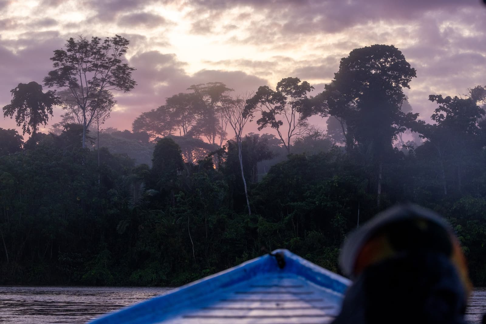 Early on the river, the forest hasn't decided to wake up yet. Photo: Marlondag Blue boat bow gliding along a dark river on an amazon tour from Puerto Maldonado, with mist rising over tall rainforest silhouettes beneath a violet and pink dawn sky