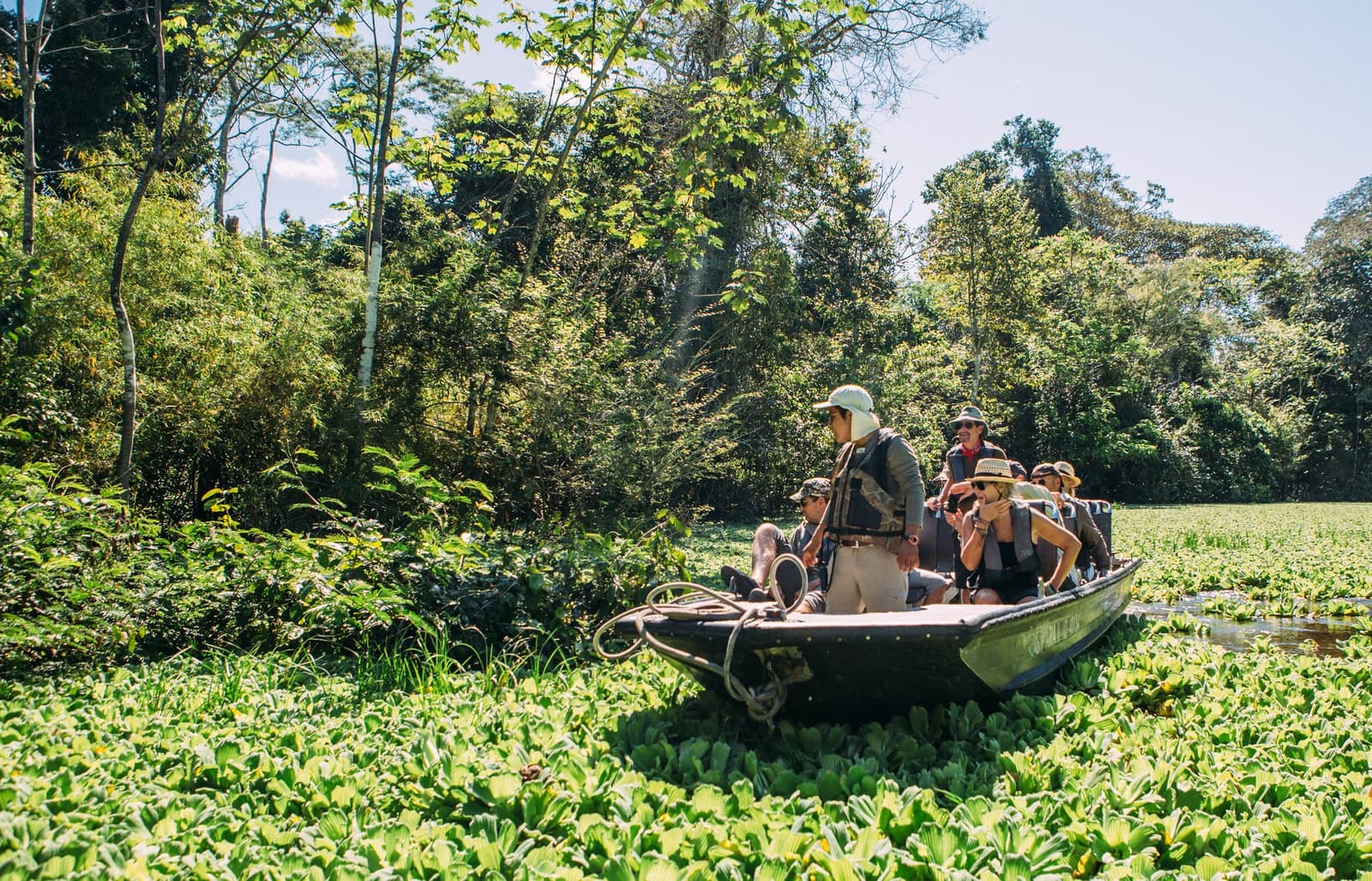 Out here, the forest and the river argue over where one ends and the other begins. Photo: Scott Sporleder A small motorized skiff carrying a naturalist guide and several guests navigates through a dense carpet of aquatic plants on an aria amazon cruise excursion, with tall rainforest trees lining the bank under bright midday sun