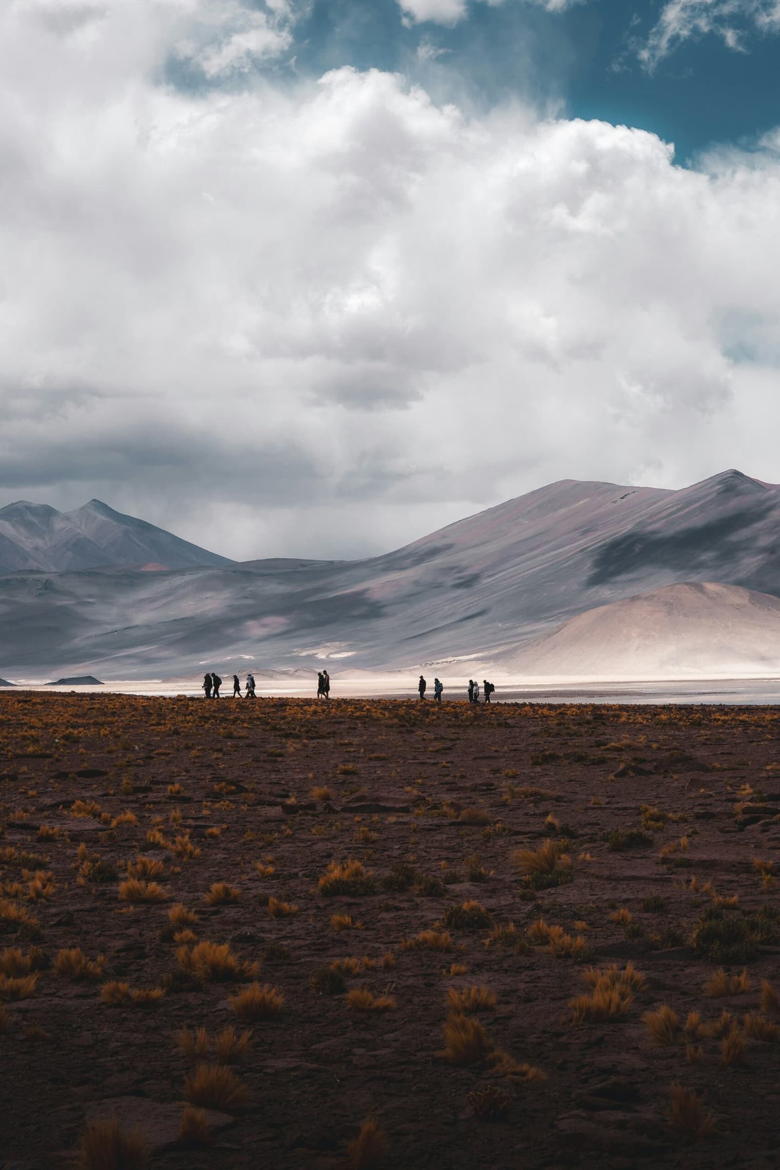 Ocho personas, un altiplano infinito, y un cielo con sus propias ideas sobre la tarde. Un pequeño grupo de senderistas en silueta frente a una planicie salada y montañas volcánicas en capas durante una expedición de camping en el desierto de Atacama, con paja dorada dispersa en primer plano y nubes de tormenta dramáticas sobre el paisaje