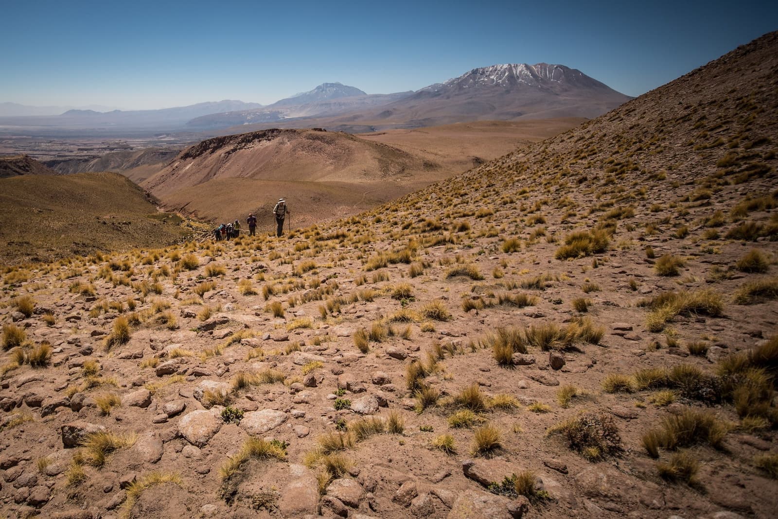 Dunne lucht, breed uitzicht, en elke volgende richel toont iets nieuws. Een kleine groep wandelaars met trekkingstokken daalt een rotsachtige helling af bezaaid met grasstroken tijdens een atacama woestijn trek, met besneeuwde vulkanische toppen boven een uitgestrekte Altiplano-vallei onder een strakblauwe hemel.