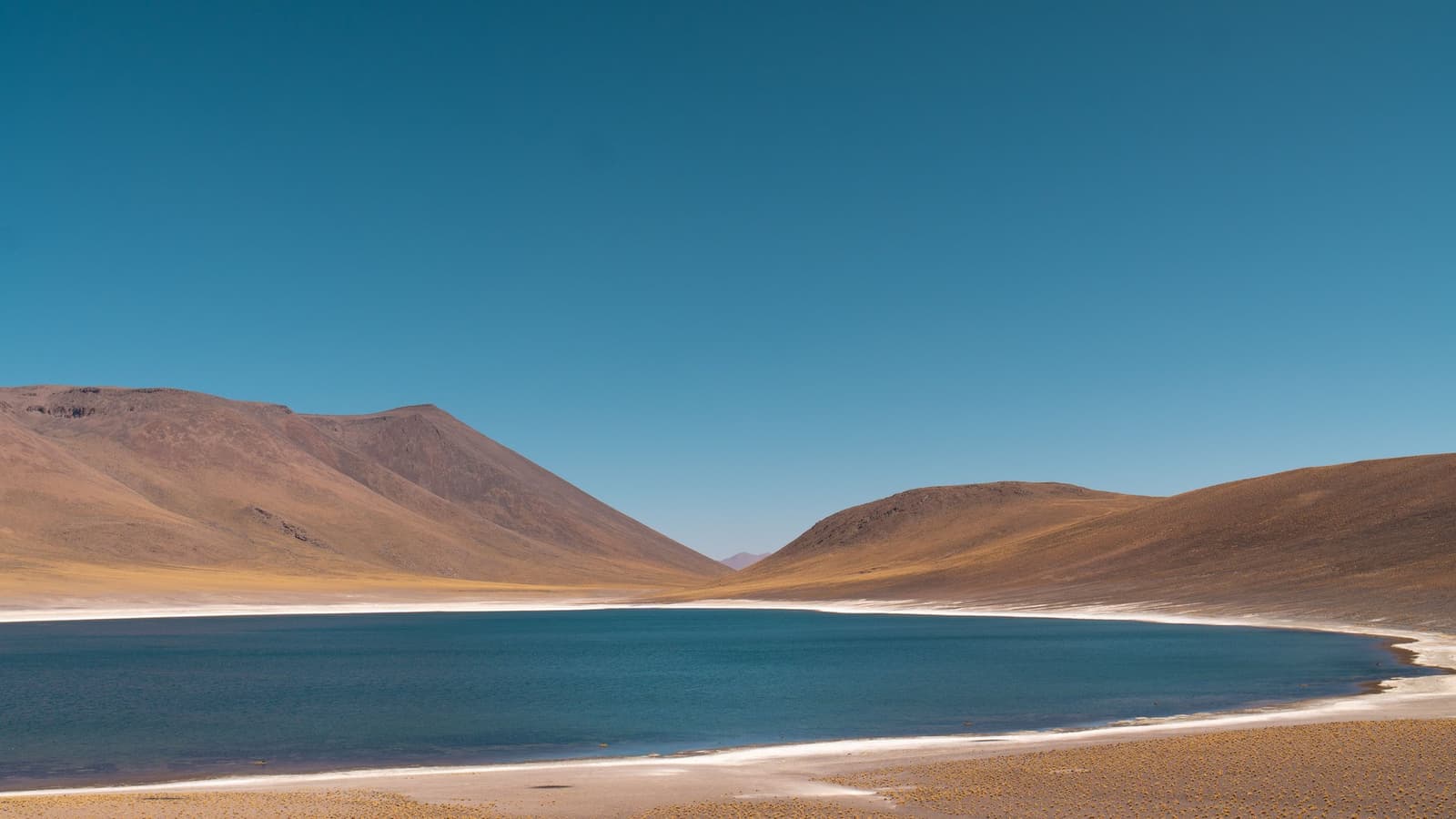 Vier kleuren, geen filter nodig: zoutwit, lagoeneblauw, heuvels goud, lucht. Photo: Laguna Miscanti Een rustige turquoise lagune in een hooggelegen Atacama-woestijnlandschap, omzoomd door een witte zoutkorst en omringd door dorre okerkleurige heuvels onder een diepe blauwe lucht.