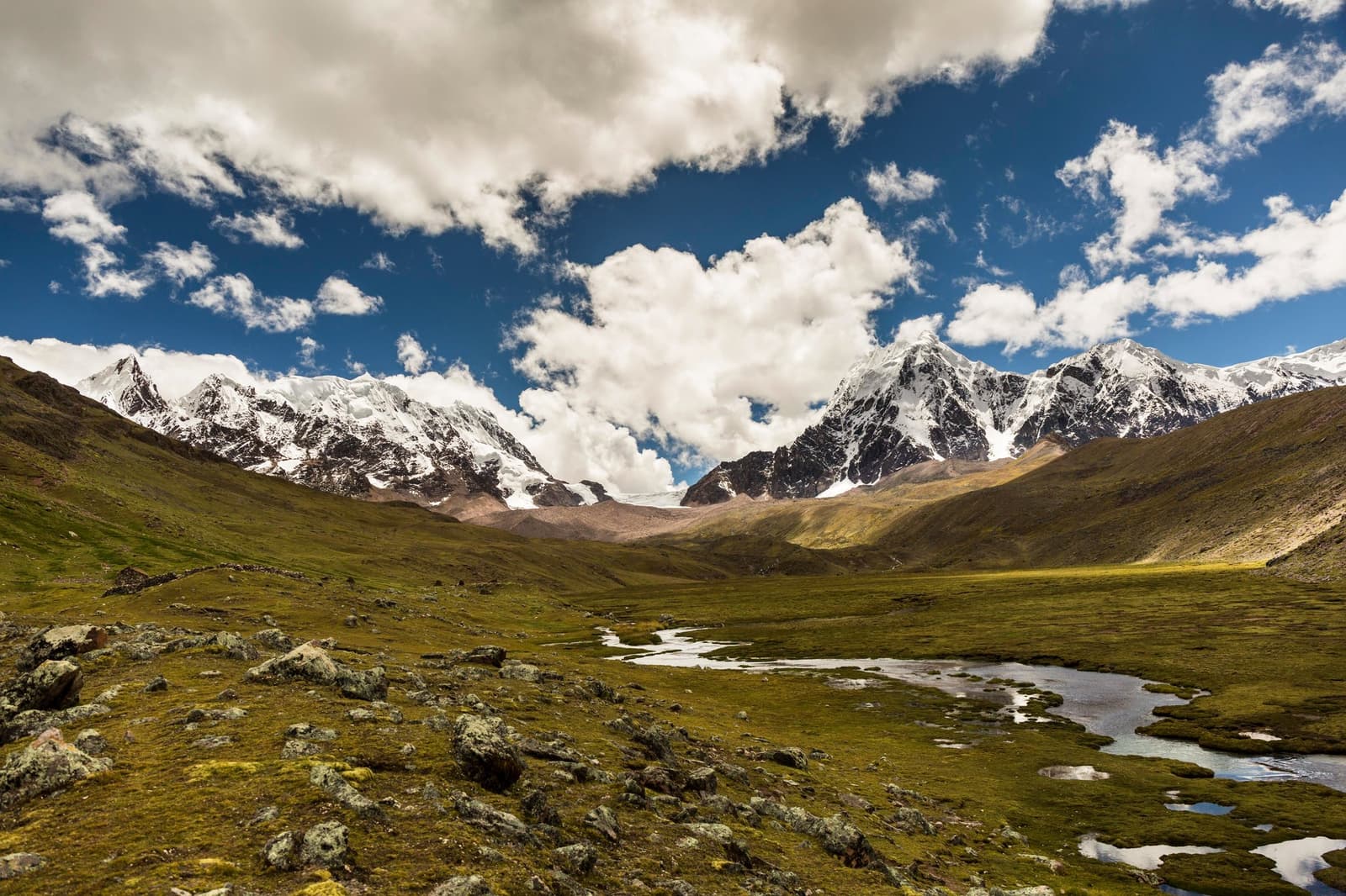 The valley floor does the talking: snow above, green below, cold water threading through. Wide high-altitude valley on the ausangate trek, with a braided glacial stream crossing green puna grassland and snow-capped peaks of the Cordillera Vilcanota rising under a deep blue sky with billowing clouds