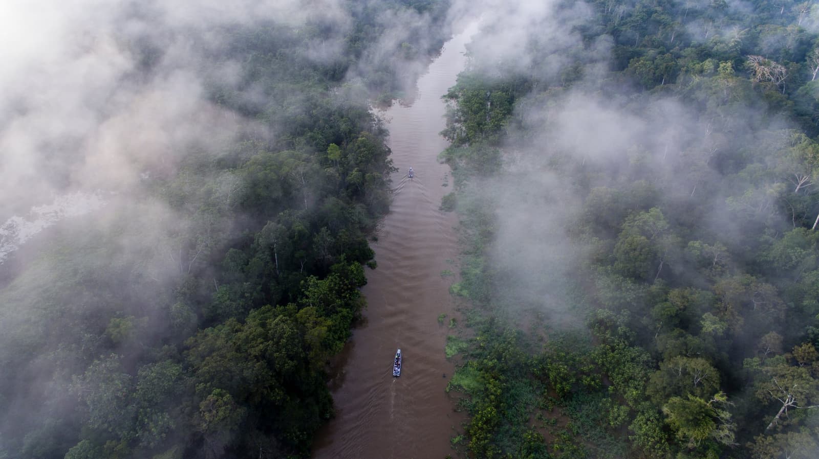 Dois barquinhos perdidos num rio imenso, com a floresta decidindo tudo o mais. Vista aérea de dois pequenos barcos de expedição navegando em um rio de águas escuras ladeado por densa copa de floresta tropical e névoa matinal baixa durante um cruzeiro Delfin pela Amazônia