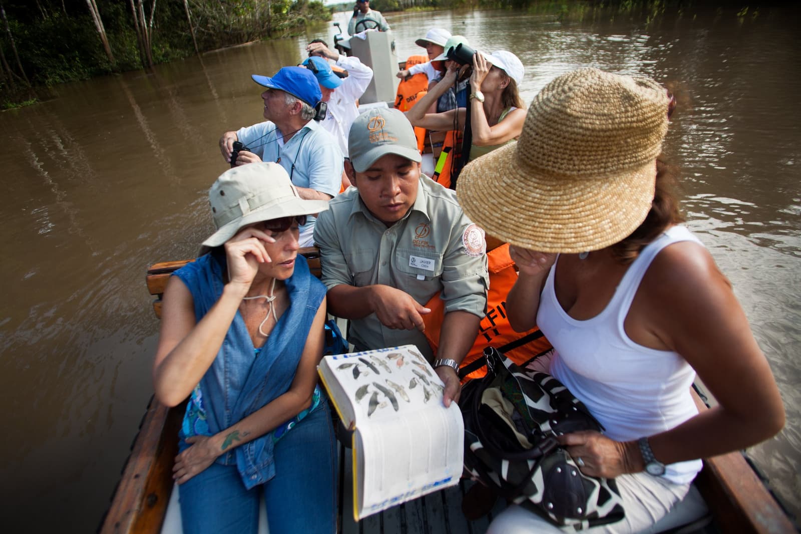 Com o guia certo, cada pássaro vira uma descoberta. Photo: er: Rodrigo Rodrich Um guia naturalista do cruzeiro Delfin Amazon aponta ilustrações em um guia de aves para duas turistas de chapéu, enquanto outros viajantes observam o rio com binóculos a partir do barco comprido de madeira