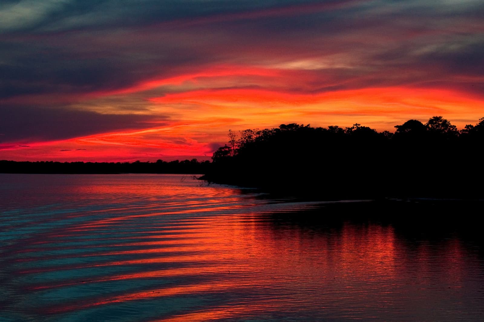 A floresta cala, o rio fica vermelho, e de repente o dia todo faz sentido. Pôr do sol em tons vermelhos e alaranjados refletido nas águas calmas de um rio, com a silhueta escura da floresta amazônica ao fundo — uma noite típica de um cruzeiro Delfin pelo Amazonas
