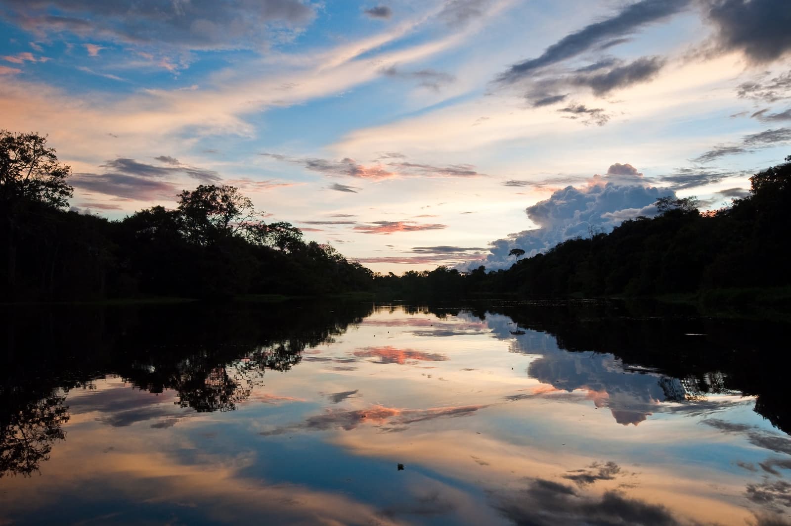 O fim do dia começa duas vezes no Amazonas, uma no céu, outra na água. Céu crepuscular em tons de rosa e azul perfeitamente refletido nas águas escuras e calmas de um canal fluvial amazônico, com árvores da floresta tropical em silhueta às margens