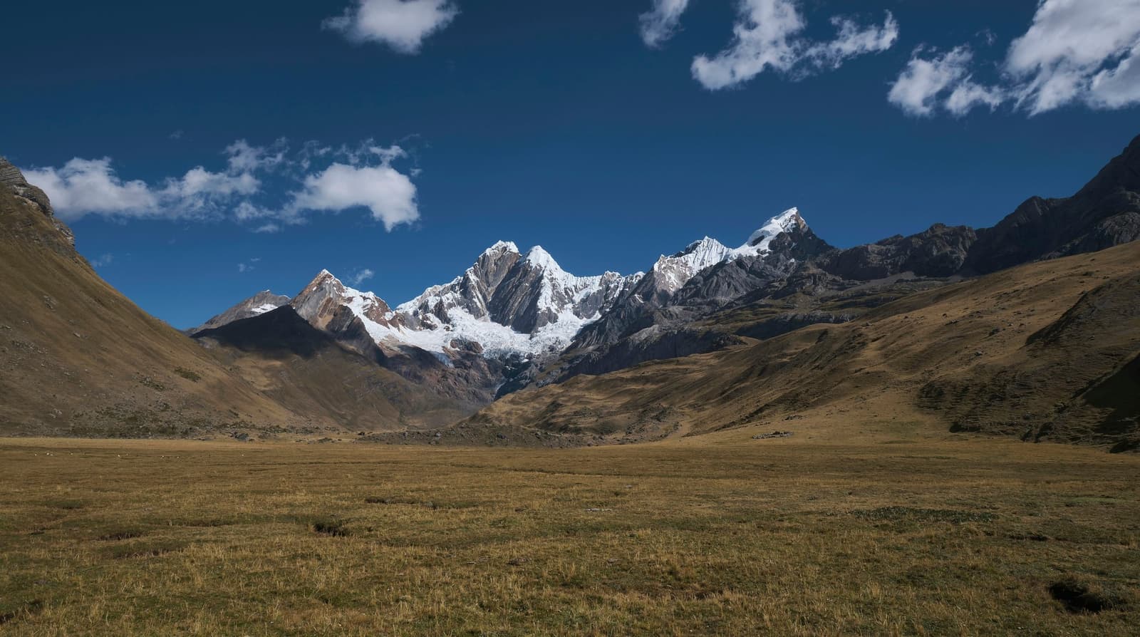 All that open grass, and then the Andes just drop a wall of ice in front of you. Wide open puna grassland stretching toward a wall of snow-capped peaks on the huayhuash circuit, framed by golden-brown slopes under a deep blue sky with scattered clouds