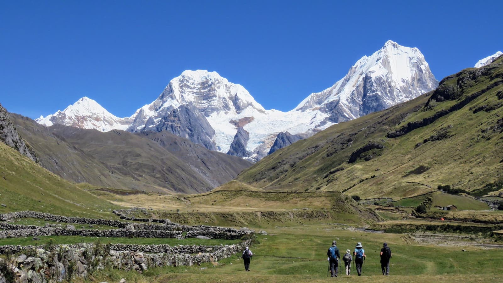 Five people, one valley, and a wall of glaciers that keeps getting closer. A group of five trekkers with backpacks and trekking poles walks across a wide green valley on the huayhuash circuit, with snow-capped Andean peaks and a visible glacier rising under a deep blue sky behind them
