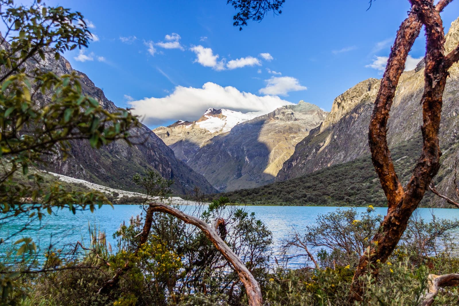 Aquela cor azul pede uma pausa, mesmo quando você está bem na beira do lago. Um lago glacial turquesa visto através de galhos retorcidos no trek Huayhuash, com um pico nevado dominando um vale profundo sob céu azul