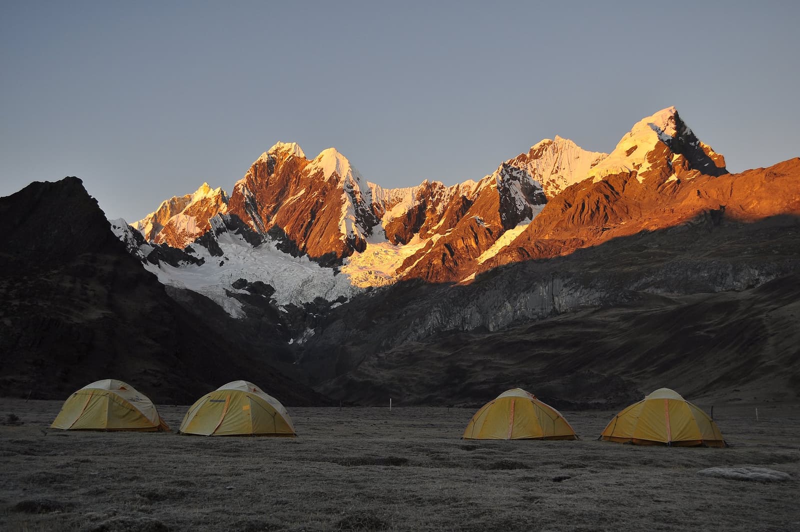 First light hits the peaks long before it reaches the tents. No alarm clock needed. Four yellow dome tents pitched on an alpine meadow during the huayhuash trek, with snow-capped Andean peaks glowing orange and red in early alpenglow light above