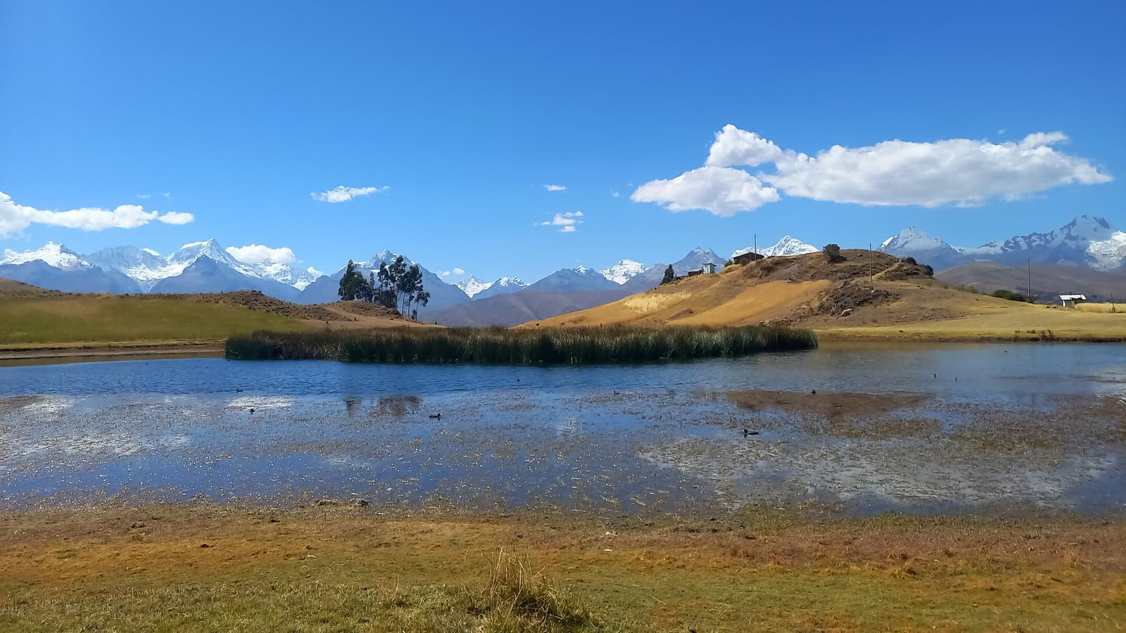 A 3.725 metros, com a Cordilheira Branca diante de você, as pernas pedem para começar logo. Um lago raso de alta altitude com uma ilha de juncos em primeiro plano e um panorama de picos andinos cobertos de neve sob um céu azul intenso, fotografado durante a caminhada de aclimatação do trek Huayhuash