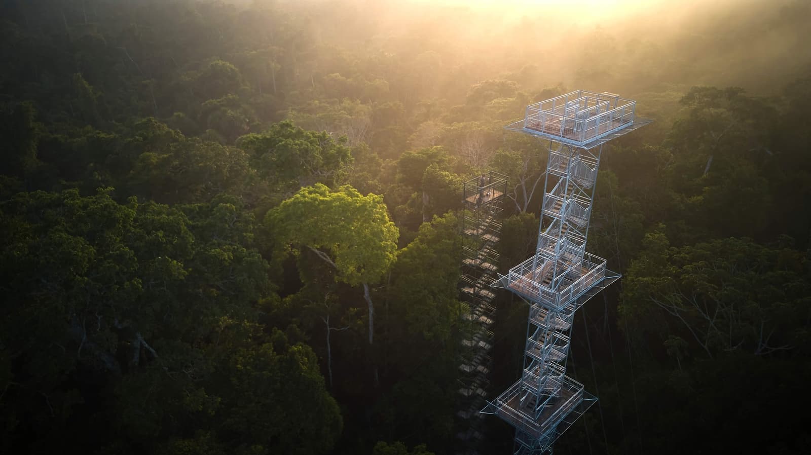 Climb above the canopy and the forest finally shows you its full hand. Aerial view of a tall steel observation tower rising above a dense rainforest canopy at golden-hour light, with mist drifting through the treetops on a machu picchu amazon tour