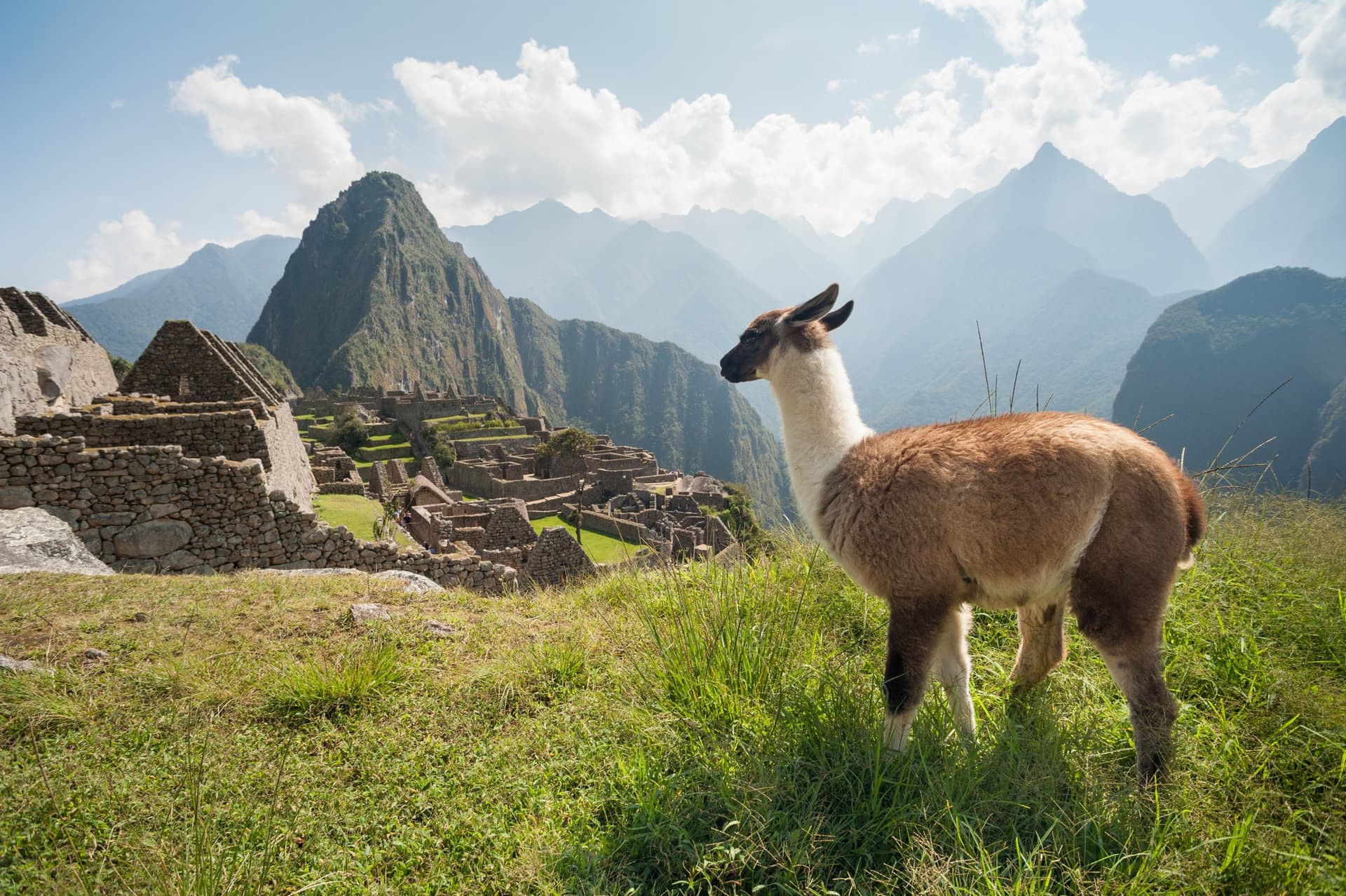 Machu Picchu y Amazonas: 7 días por tierra cruzando Perú Machu Picchu y Amazonas: 7 días por tierra cruzando Perú