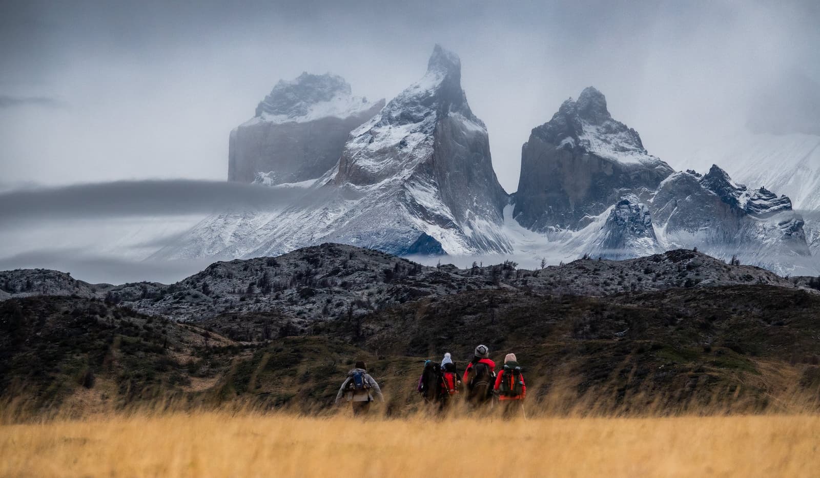 Four packs, four people, and a mountain range that clearly didn't get the memo about subtlety. Four hikers with backpacks walk across golden grassland on the self-guided O Circuit, with the snow-dusted granite horns of Cuernos del Paine rising through storm clouds behind them