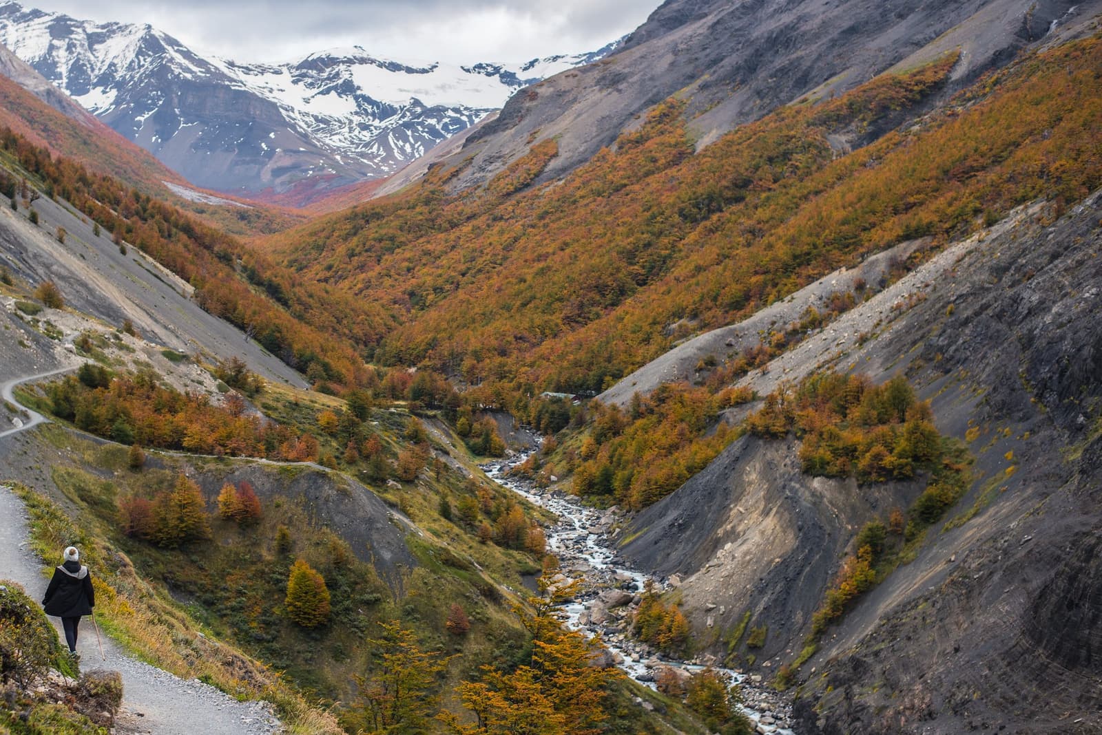 Autumn does its best work when nobody is looking. Except you. A lone hiker walks a gravel trail above a glacial valley on the O trek in Patagonia, with lenga beech trees blazing orange and red in autumn, a rushing stream below, and snow-capped peaks under heavy cloud in the distance