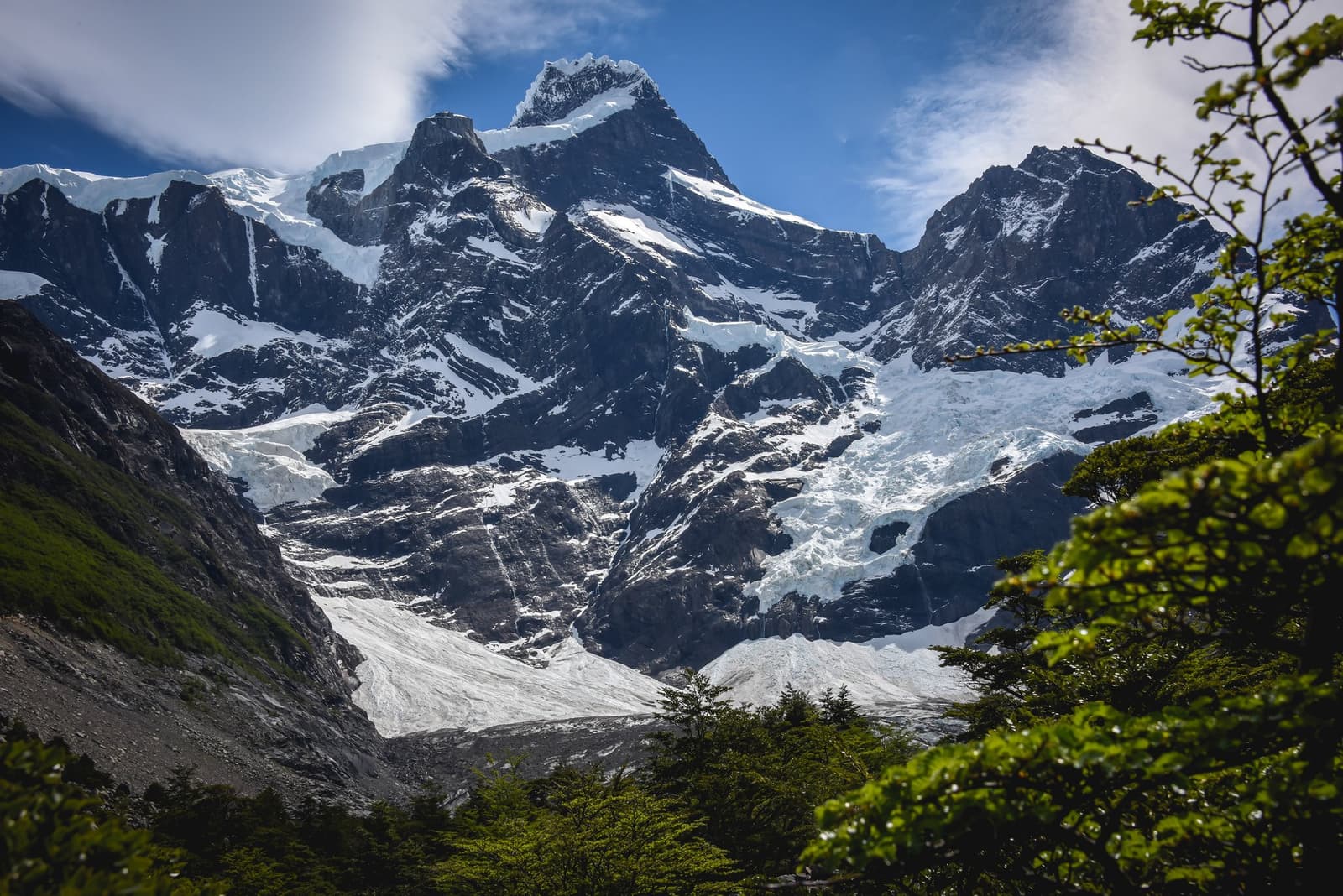 Ice that old, sitting that close, makes the trail feel small in the best way. Snow and glacier ice cling to steep dark granite peaks on the o trek in patagonia, framed by green lenga beech trees in the foreground under a blue sky
