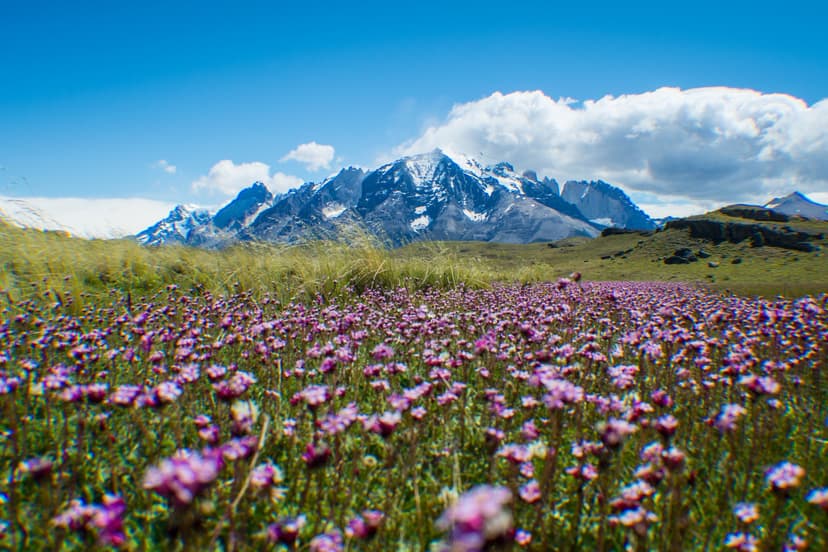 Circuito O Torres del Paine: trekking guiado de 9 dias no Chile Circuito O Torres del Paine: trekking guiado de 9 dias no Chile