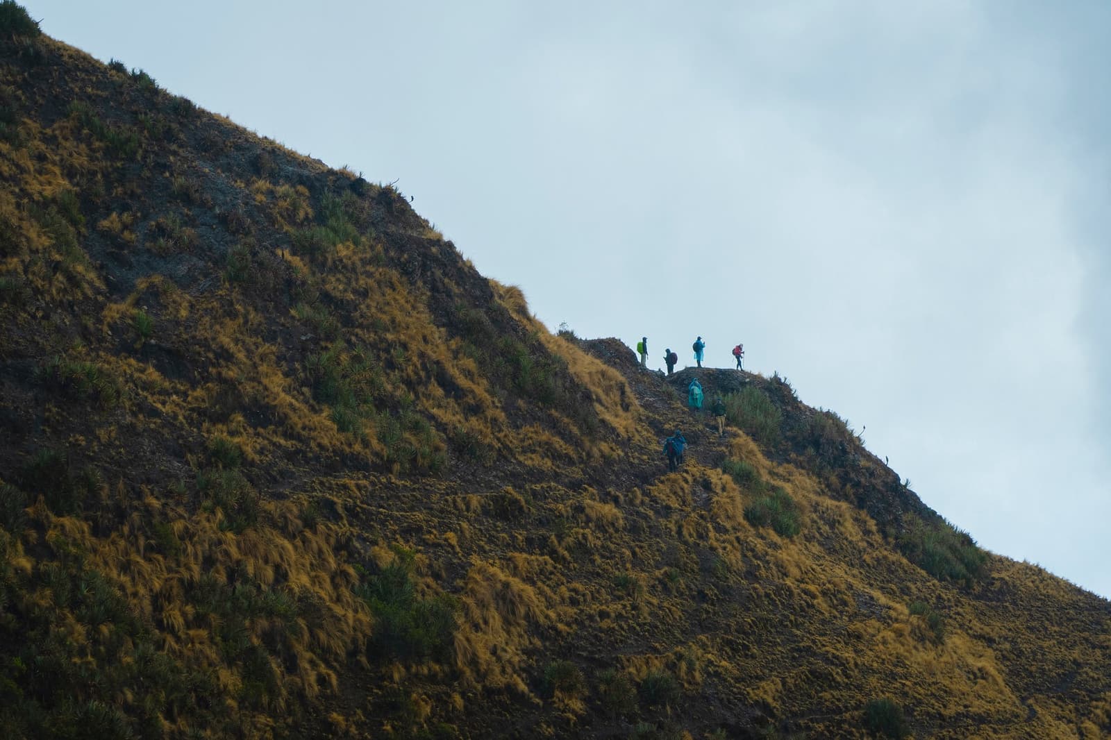 Six people, one mountain, and a trail almost nobody knows about. A small group of hikers with colorful backpacks ascending a steep, golden-grassed mountain ridge on the off-the-beaten-path Salkantay trek, tiny against the vast slope under an overcast sky