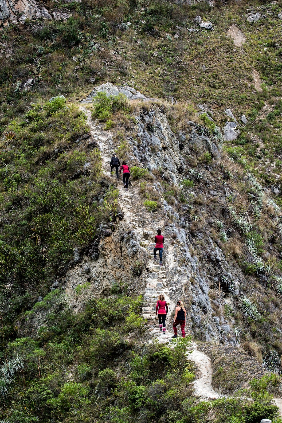One foot in front of the other, this ridge earns its views. Four hikers climbing a narrow stone staircase along a rocky ridge on the off-the-beaten-path Salkantay trek, surrounded by dry scrub and bromeliad-covered slopes