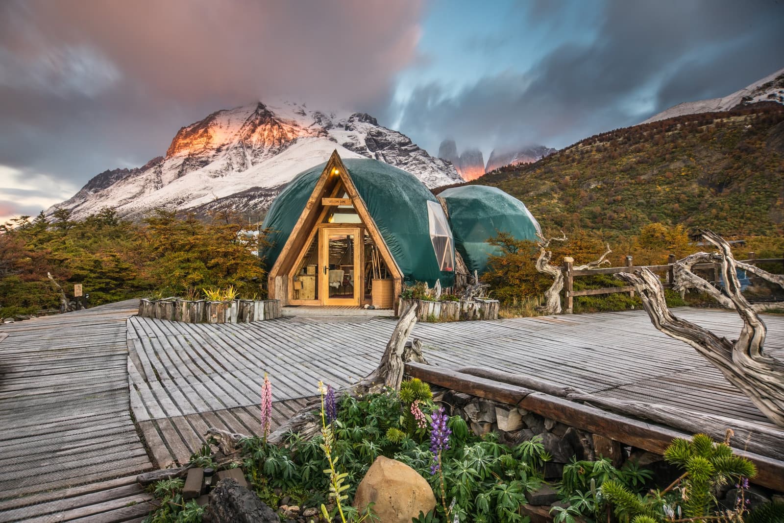 Your base for puma trekking in Patagonia looks like this. Not bad at all. Two green geodesic dome accommodations with a timber A-frame entrance at an ecocamp patagonia-style camp, set against snow-dusted peaks and the iconic Torres del Paine towers glowing at dusk, with wild lupins flowering on the wooden boardwalk in the foreground