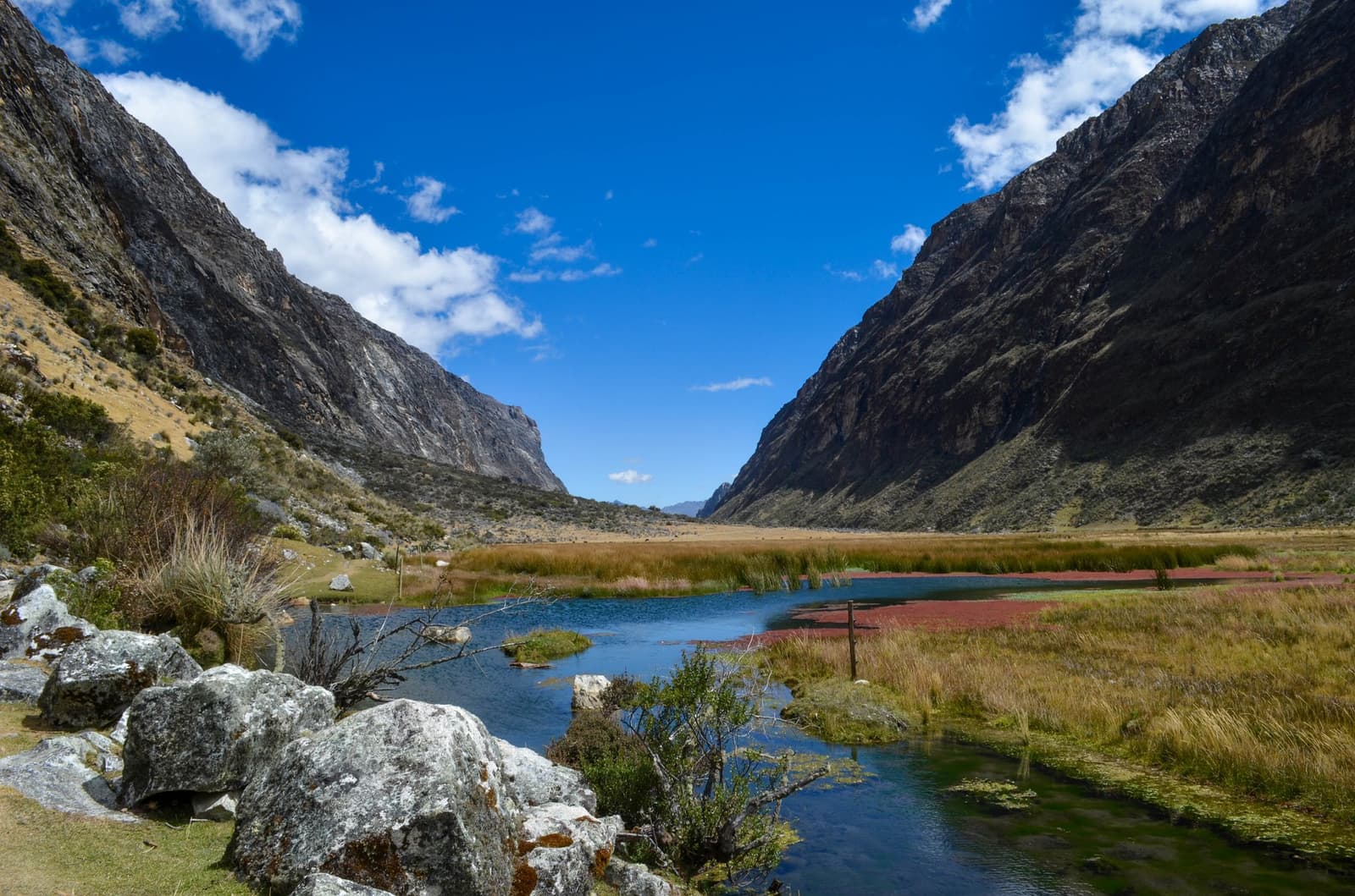 Rock, rust, and still blue water. The valley floor has more going on than it looks. A shallow glacial stream winds through a high-altitude wetland on the Santa Cruz trek, with rust-red aquatic plants, golden grasses, and sheer granite canyon walls rising on both sides under a bright blue sky with scattered clouds