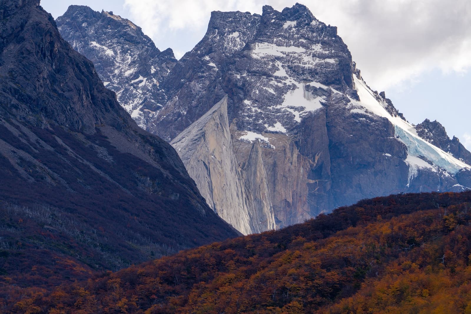 Autumn turns the lenga forest copper right when the valley walls decide to show off. Sheer granite spires rise behind rust-colored autumn lenga beech forest in the Paine Massif, with snow-streaked peaks and a blue glacier visible in the background on the self-guided W Trek