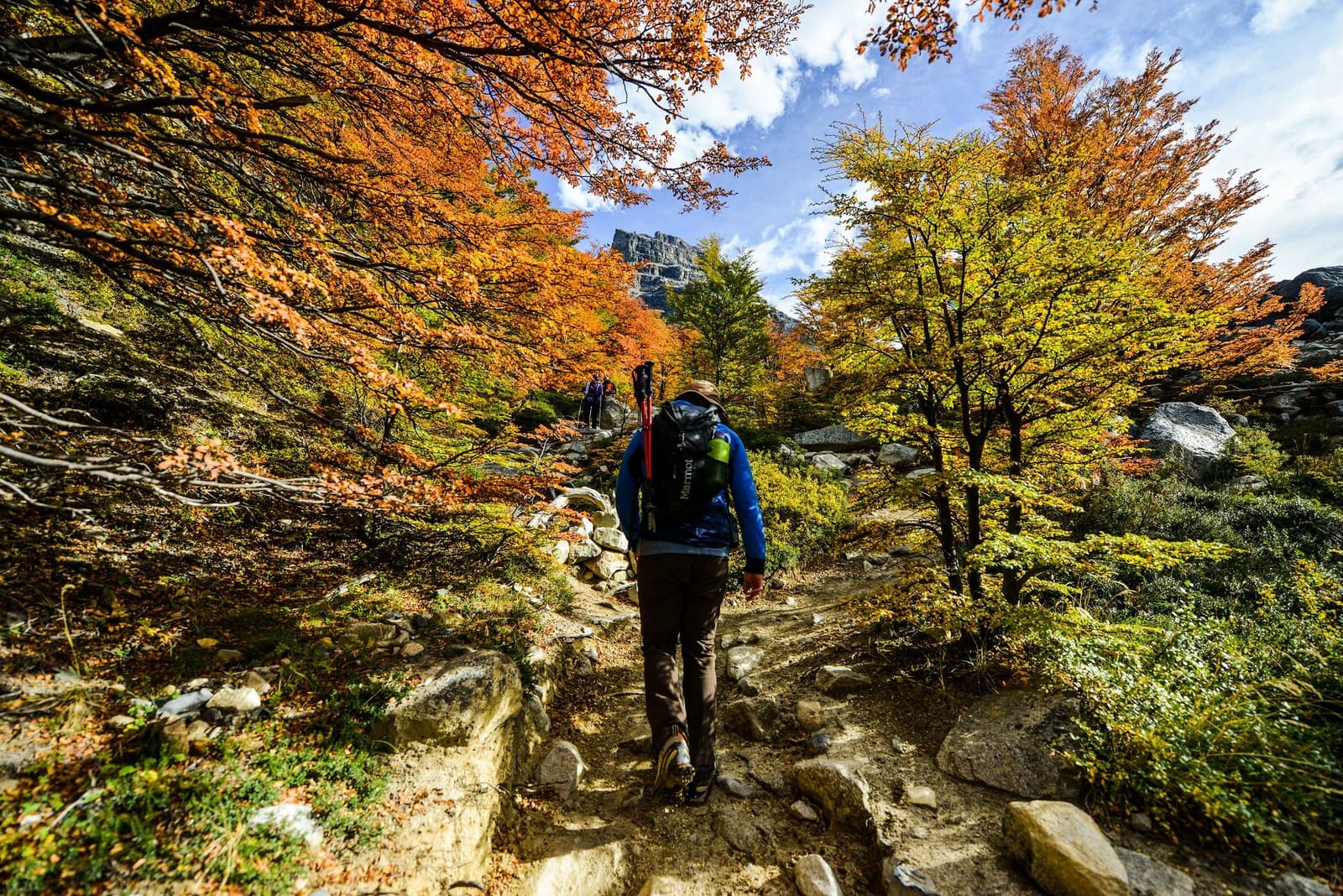 Autumn turns the beech forest into something you'll want to walk slowly through. A hiker with trekking poles and a full backpack walks a rocky trail on the short W trek, surrounded by lenga beech trees in vivid orange and gold autumn foliage, with a rocky peak visible through the canopy above