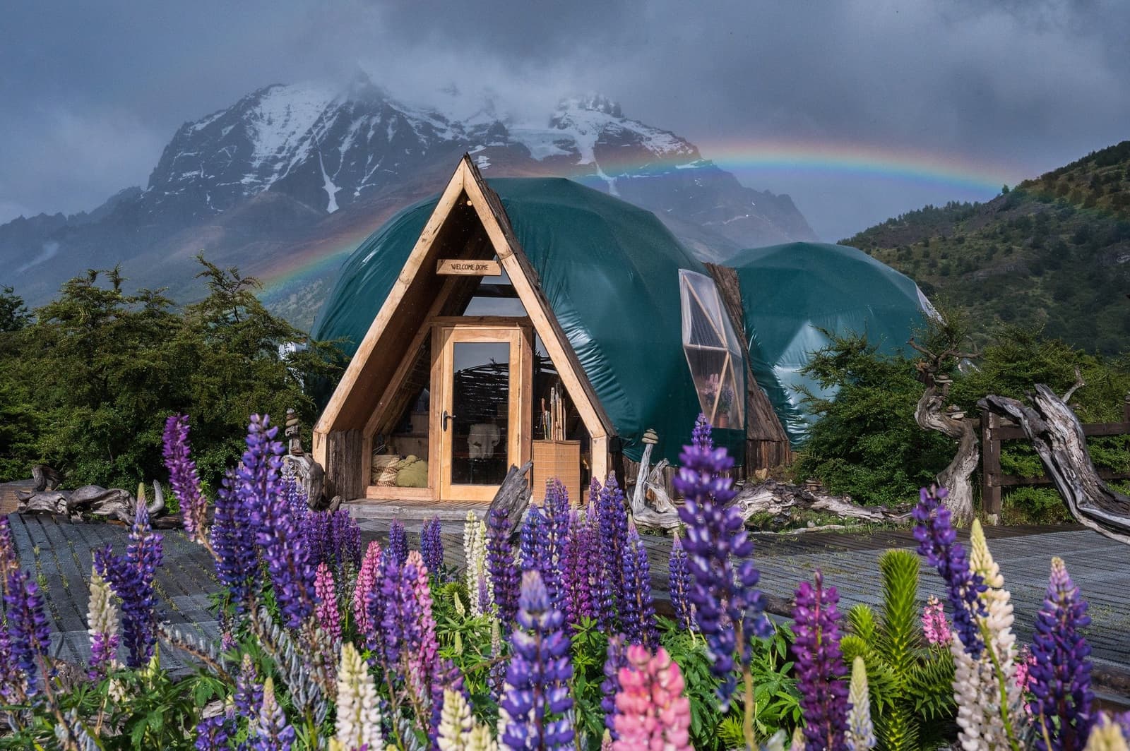 Rain, rainbow, lupins, and a dome that somehow makes all of it feel planned. The Welcome Dome geodesic structure at EcoCamp Patagonia, framed by purple and pink lupin flowers in the foreground, a snow-capped mountain peak behind, and a rainbow arching through a stormy sky — the starting point of the short w trek