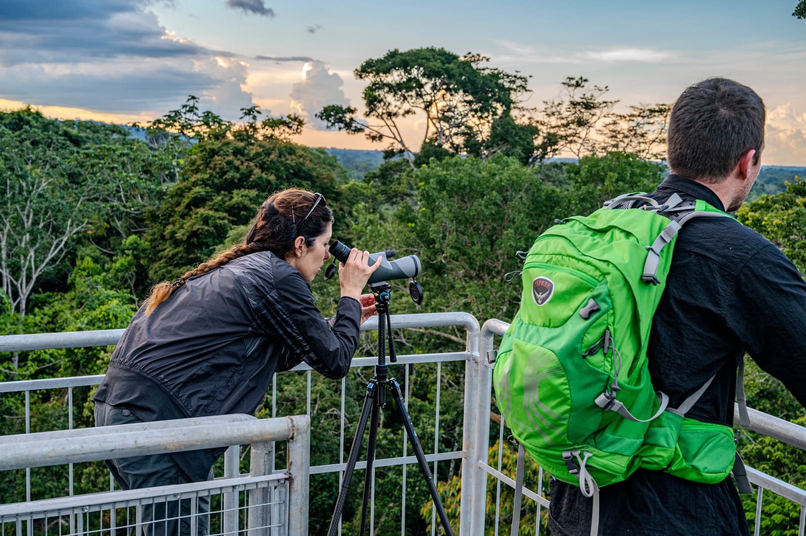 Thirty metres up, the forest finally shows you what it's been hiding all day. Two visitors on the 30 m canopy tower at Tambopata Research Center Peru, one looking through a spotting scope on a tripod while the other scans the rainforest canopy at dusk