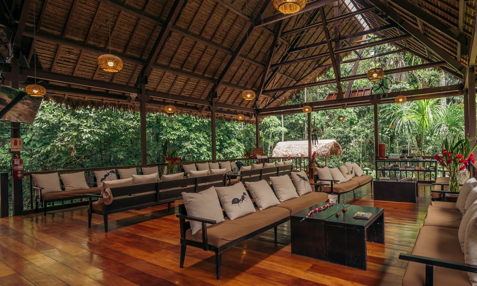 The common room where field notes get compared and plans for tomorrow take shape. Open-air thatched common area at the Tambopata Research Center Peru, with cushioned wooden sofas printed with ant motifs, woven pendant lights, a polished hardwood floor, and a dense rainforest canopy visible on all sides