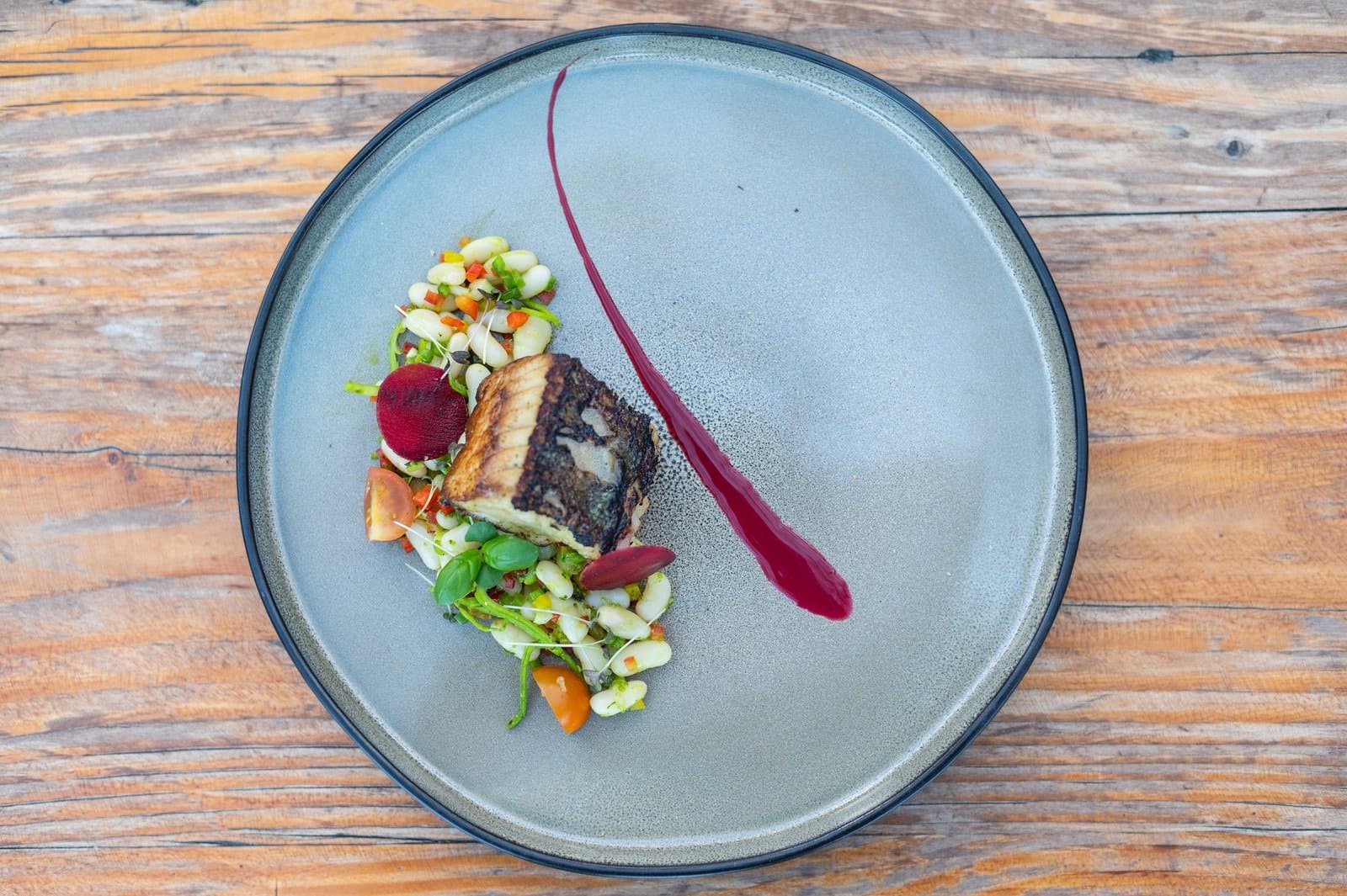 After a long day on the trail, this plate does not mess around. Overhead view of a grilled fish fillet plated on a matte grey ceramic dish with white beans, fresh tomatoes, microgreens, sliced beetroot, and a deep red sauce swipe, part of the torres del paine 4 day all inclusive tour dining experience at EcoCamp Patagonia