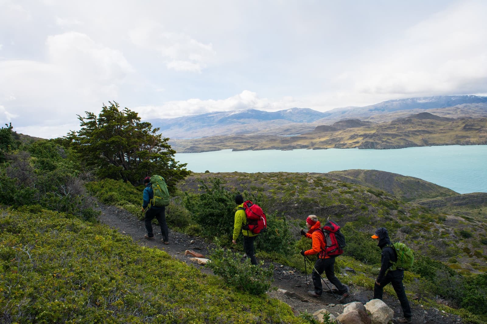 Four backpacks, one trail, and that blue lake refusing to let anyone look away. Four hikers with large backpacks follow a narrow trail on the torres del paine w trek above a glacial turquoise lake, with wind-bent trees and Andean peaks in the background