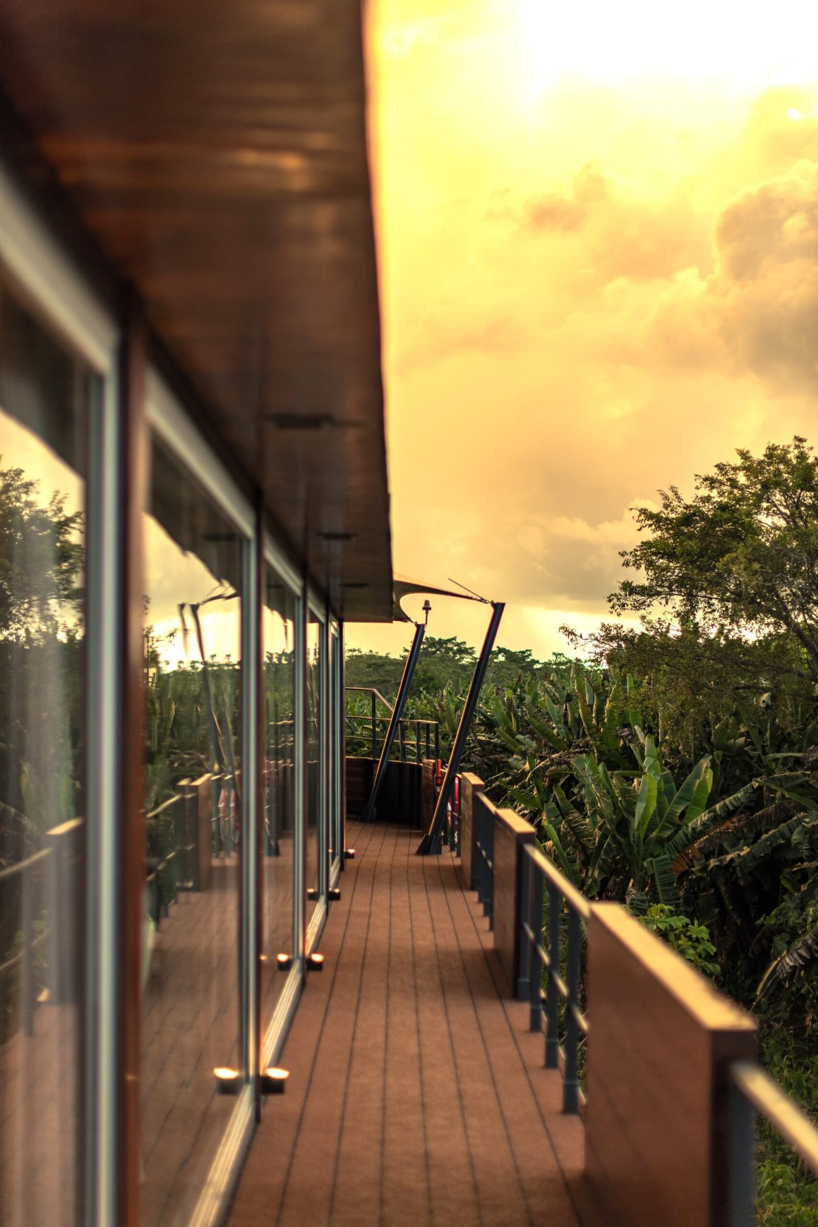 Your suite is steps away, but the deck always wins at this hour. Photo: Yvonne Kreuzmayr The aria amazon cruise ship's wooden deck corridor stretches toward a golden sunset sky, flanked by floor-to-ceiling glass windows on one side and a railing overlooking dense tropical forest canopy on the other
