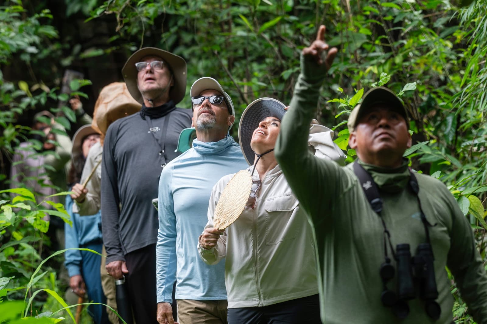 A pointed finger, four pairs of eyes, one very good reason to look up. Photo: Daniel Silva Yoshisato A naturalist guide with binoculars points up into the rainforest canopy during an Aria Amazon cruise excursion, while a group of guests in sun hats and UV shirts look upward with curiosity
